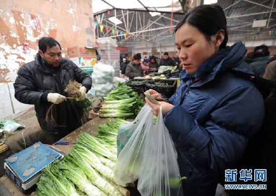 记者追踪山东蔬菜进京路 菜价叫苦不跌---齐鲁