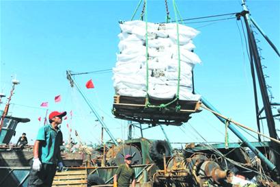 青岛远洋捕捞船出海半月满仓归来 打捞海货60