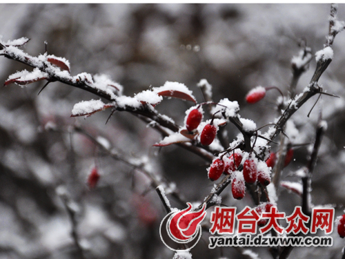 点击浏览下一张