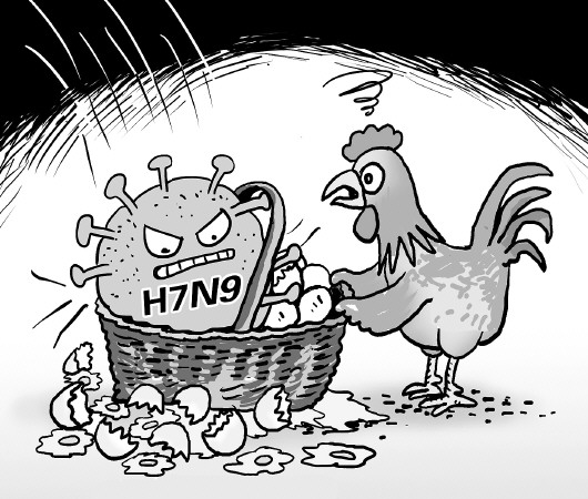 禽流感让养禽业备感受伤 鸡蛋价格何时翻身