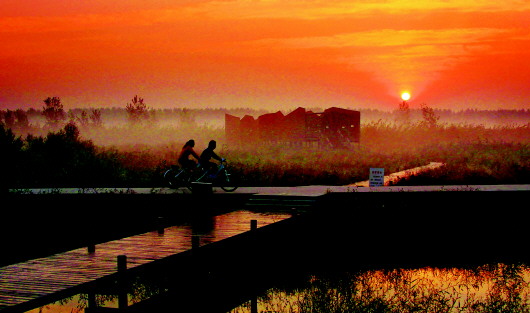 微山湖国家湿地公园入选中国十大魅力湿地