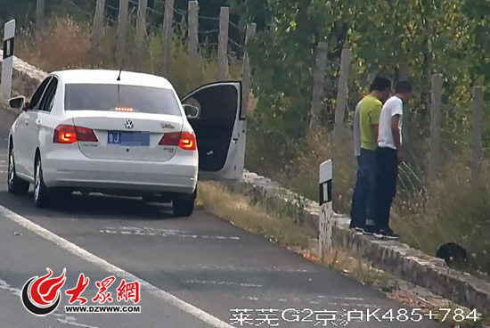 高速路上违法停车 车上三人组团列队撒尿