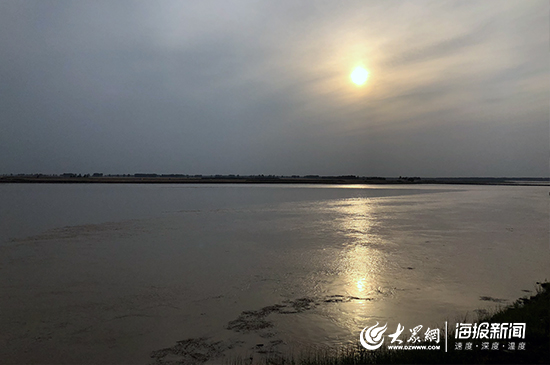 【壮丽70年·聚焦黄河生态带】兰考:防洪大堤成为展示黄河文化的亮丽