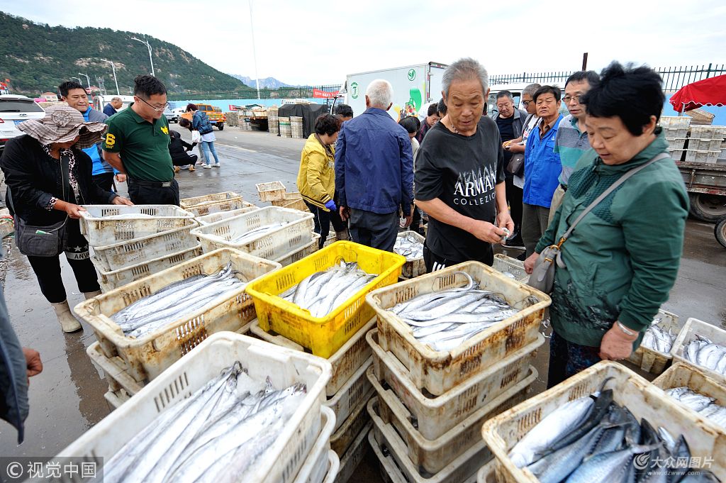 鲅鱼鲜螃蟹肥!青岛海产品大量上市 满足市民好口福