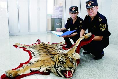 海關查獲的那些奇葩違禁品:屍體神獸鱷魚皮