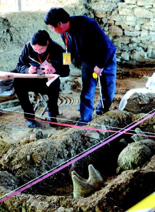 十大考古新發現為:陝西寶雞石鼓山西周墓地,湖北隨州文峰塔東周墓地