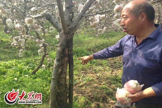 莘县石代勇照片图片