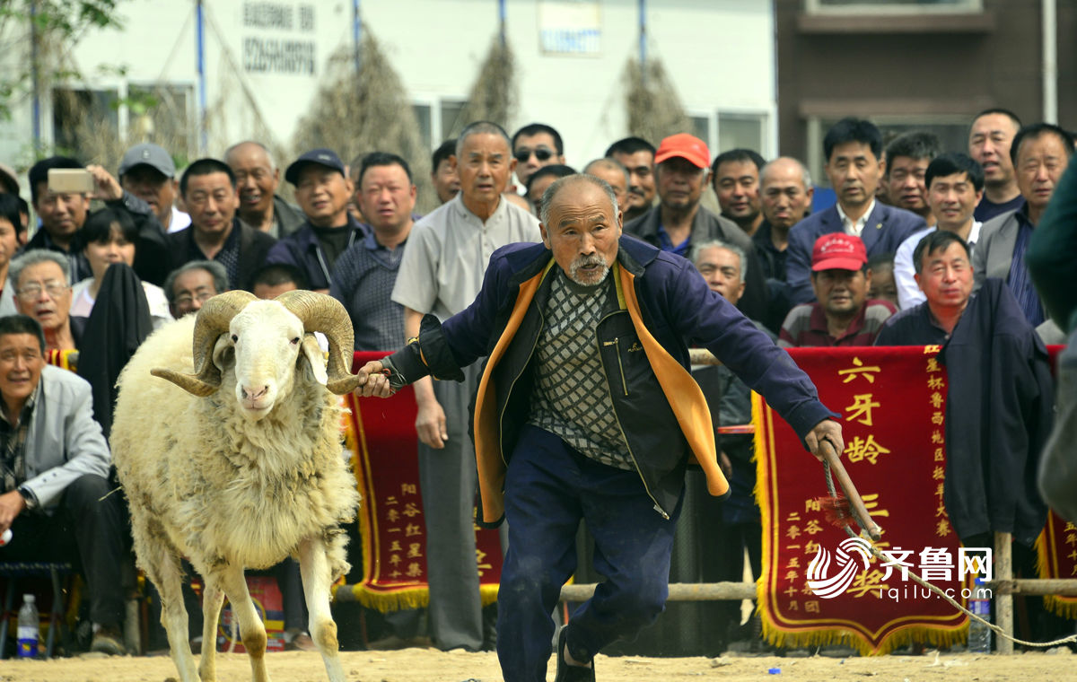 梁山阳谷人口_阳谷情侣电动车小树林