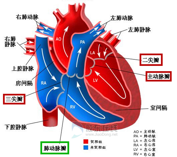 烟台一患者心脏四扇门坏了仨 医生为其成功修复