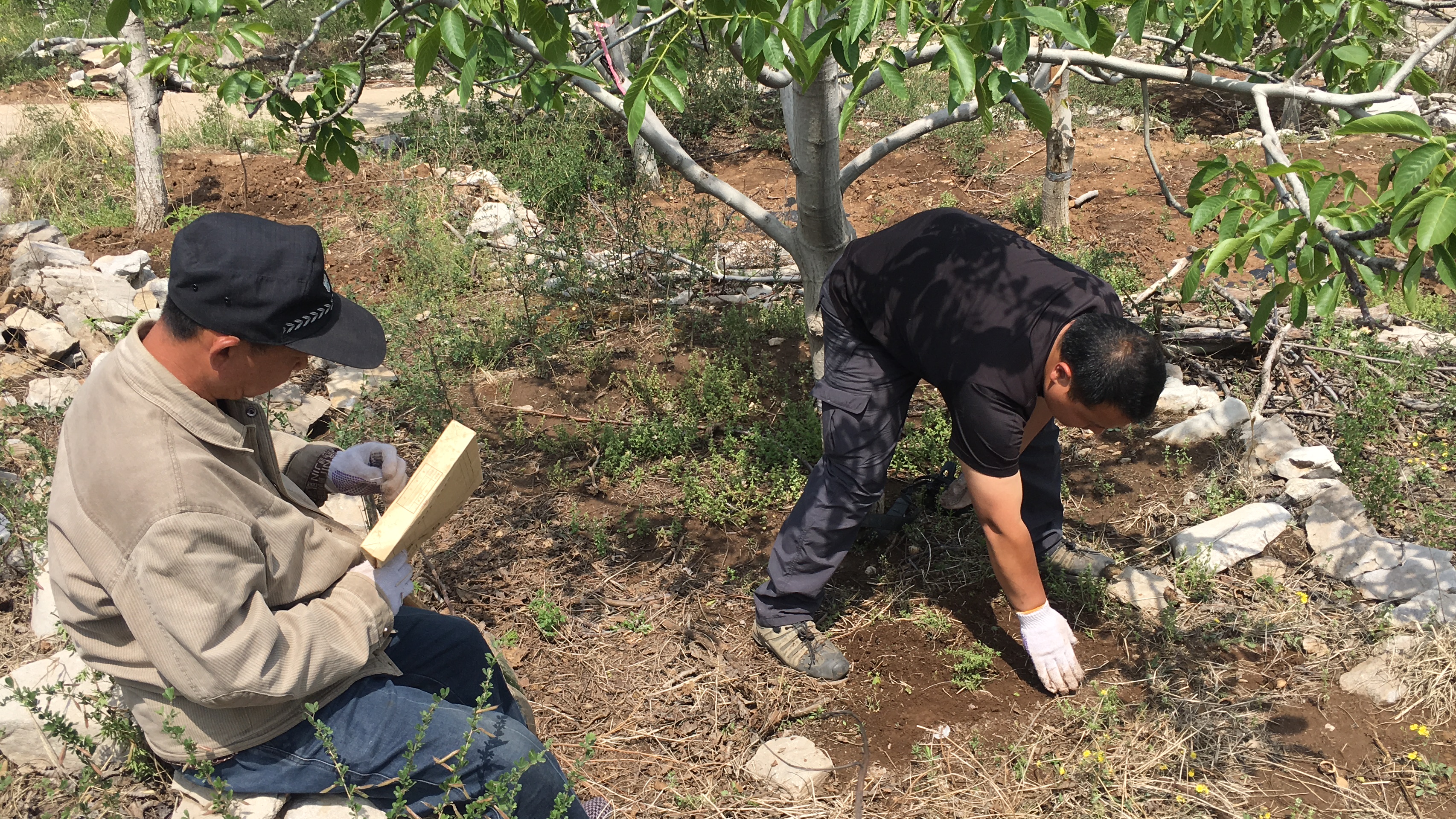 穿皮裤扛锄头的农夫博士刘文,用数据来守护环