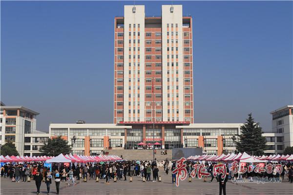 95后毕业生就业:佛系找工作,超半数热衷考研