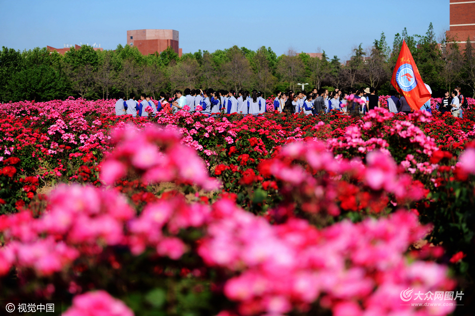 山東大學11組_山東一本大學名單_山東大學名單公示