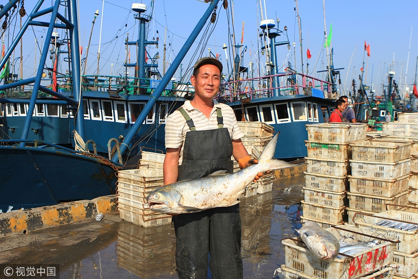 黃海中心漁港一片繁忙景象,鮁魚,鯧魚,大蝦,喜獲豐收,漁民們忙著將